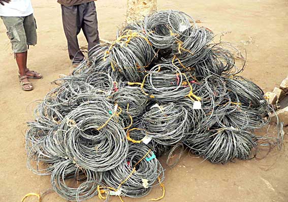 some of the 10,000 snares removed from South Luangwa in last few years