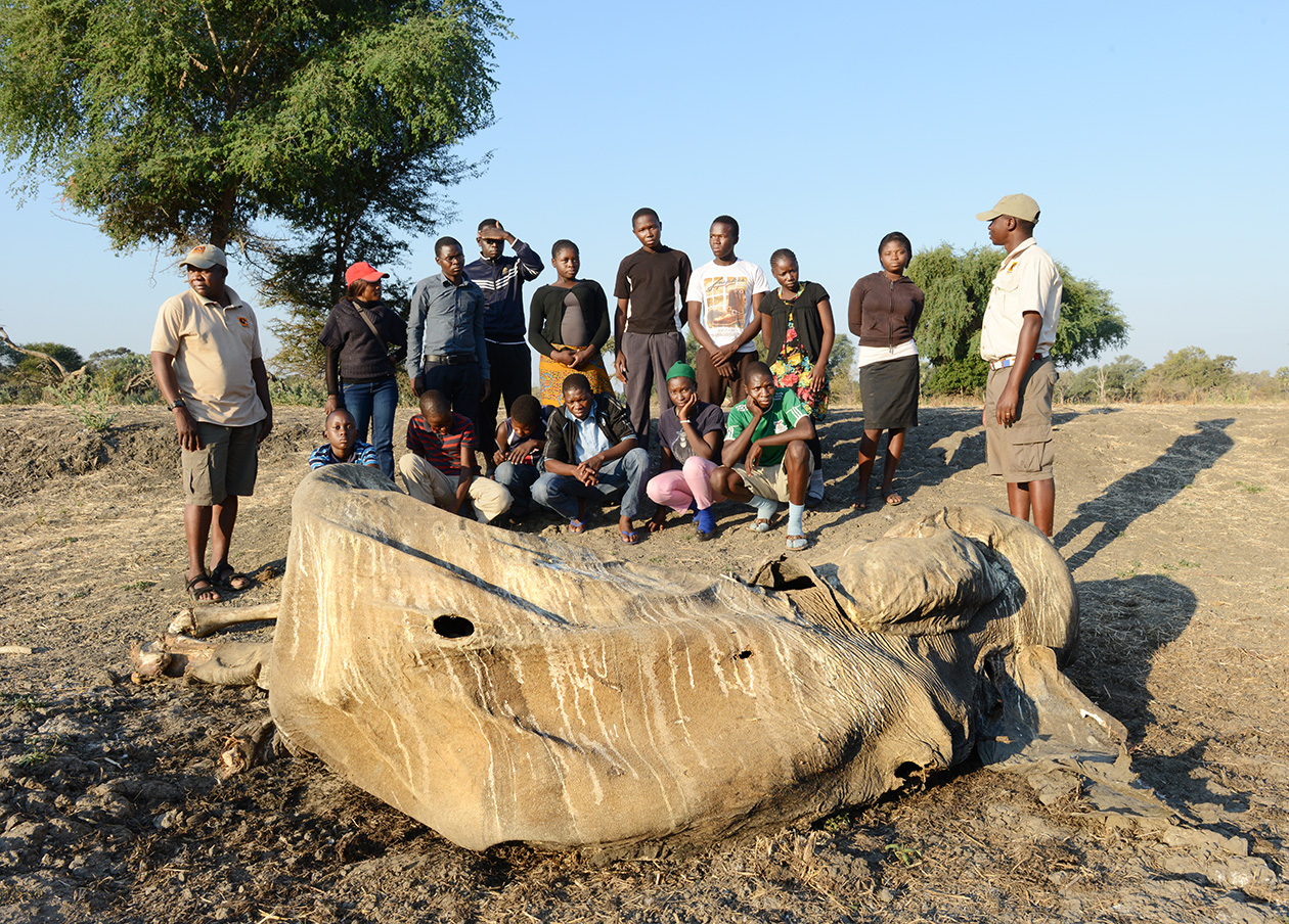 Students with Elephant Remains